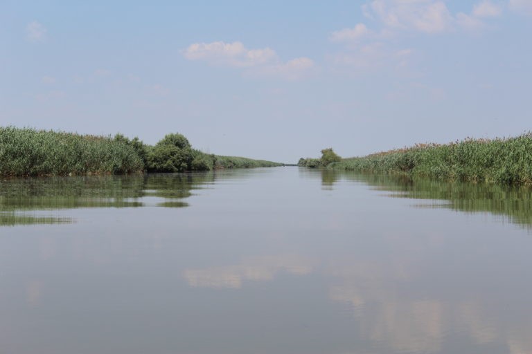 Главная Главная